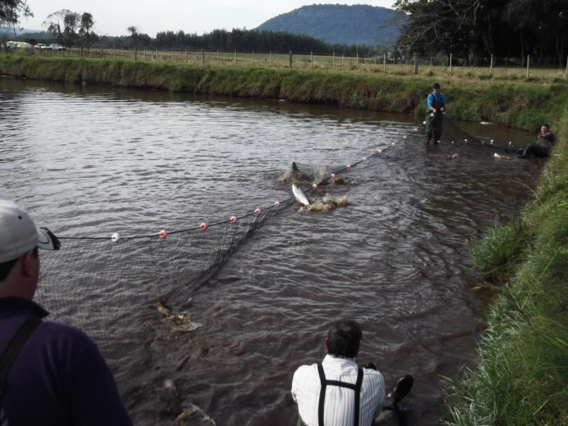 Sinimbu inicia preparação para a Feria do Peixe