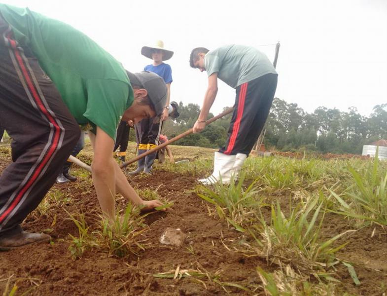 Sicredi Vale do Rio Pardo beneficia jovens rurais com bolsas de estudos da Efasc