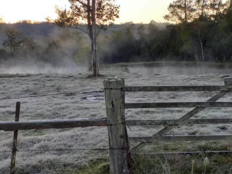 FOTOS: Quarta-feira amanhece com temperatura próxima a 0ºC em Santa Cruz e região