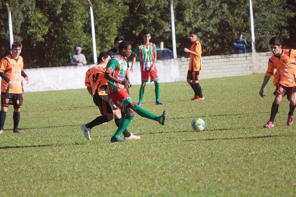 Avante e Linha Santa Cruz largam na frente por vaga