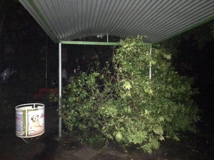 Tempestade de raios, vento forte e queda de granizo causam prejuízo