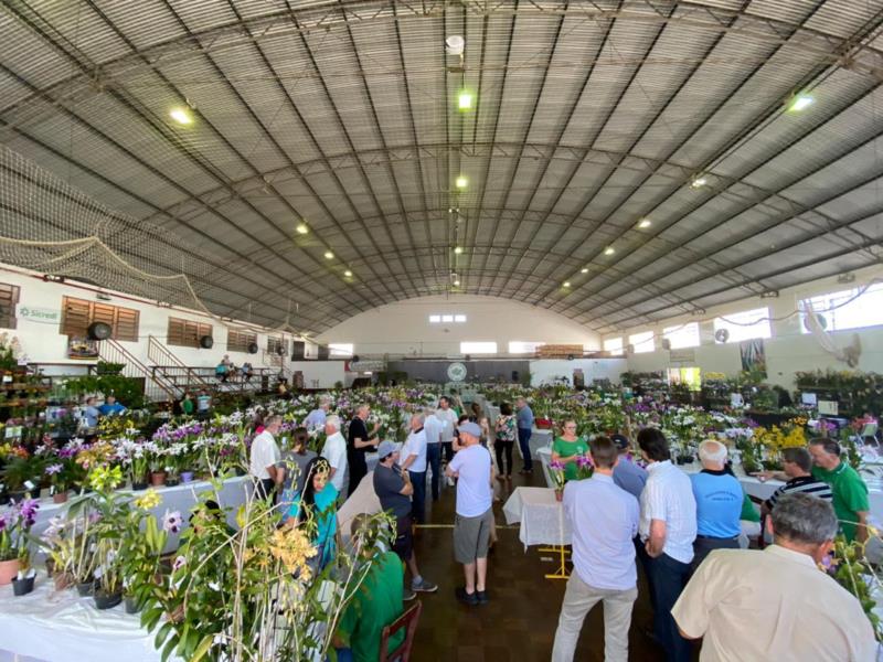 Aberta oficialmente a Festa das Orquídeas em Mato Leitão