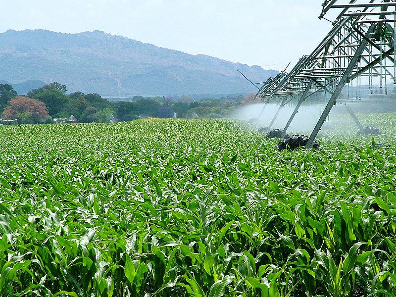 Blairo Maggi vai à China discutir tecnologia agrícola com ministros dos Brics