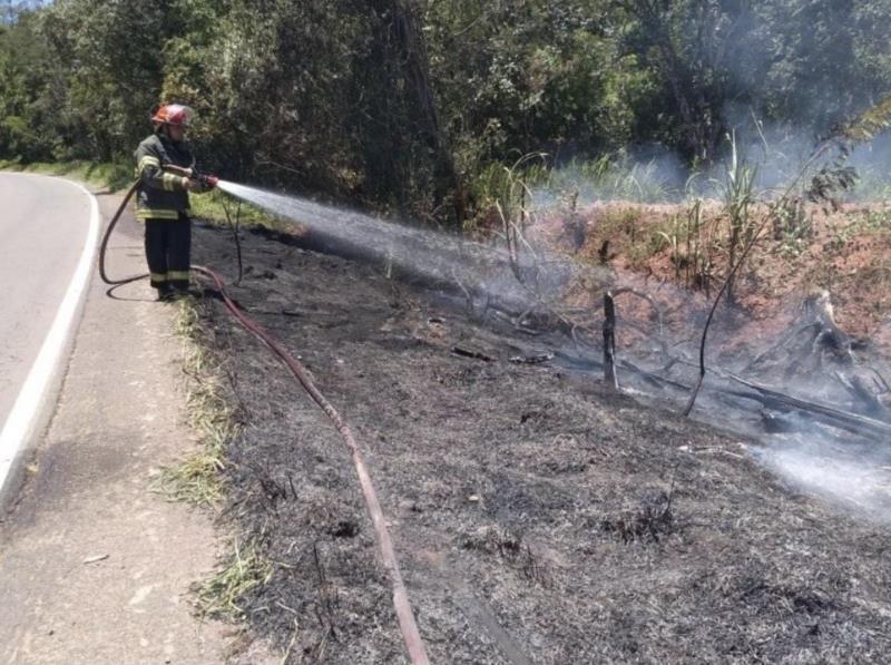 Bombeiros controlam fogo em vegetação na ERS-405 em Passo do Sobrado