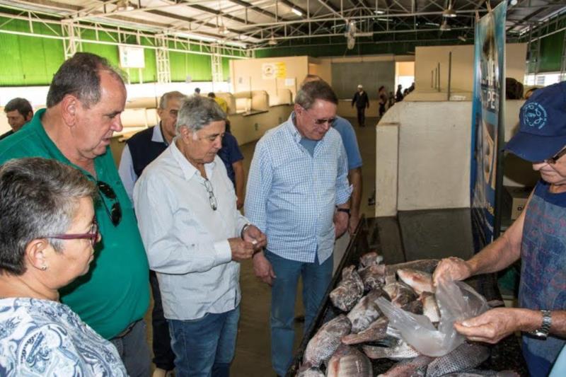 15 toneladas de peixes já foram comercializadas em Santa Cruz