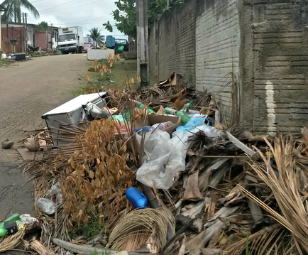 Linha Santa Cruz vai receber mutirão de limpeza