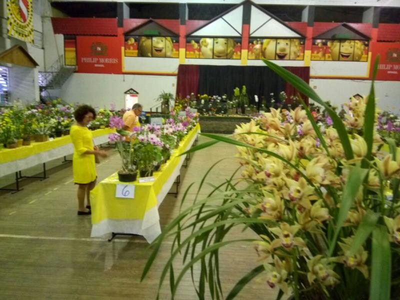 Parque da Oktober recebe exposição de Orquídeas até o final deste domingo