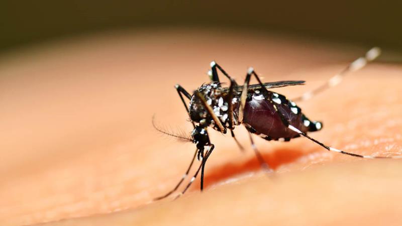 Agentes de saúde e 7º BIB de Santa Cruz realizam ação de combate ao foco do mosquito Aedes Aegypti