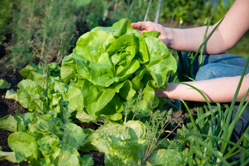 Uergs oferece curso gratuito para agricultores