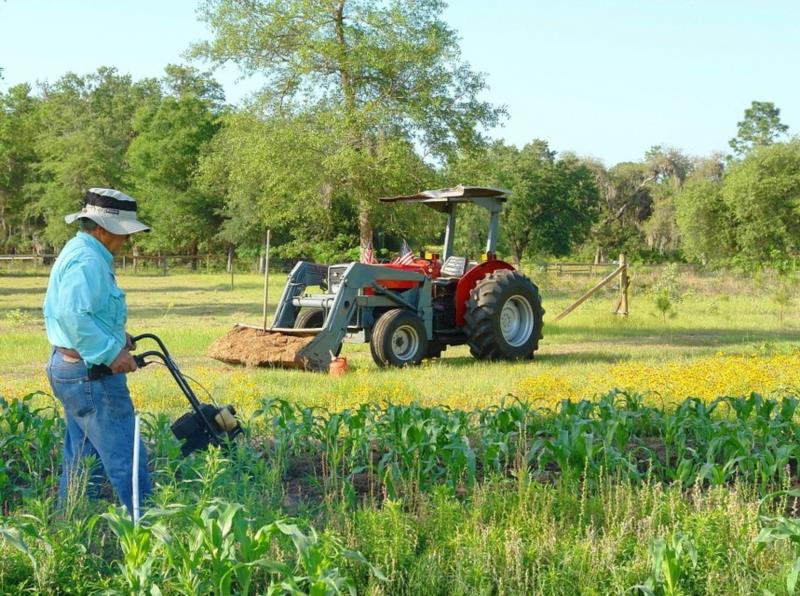 Destaque que mantinha atual regra da contribuição rural é derrotado