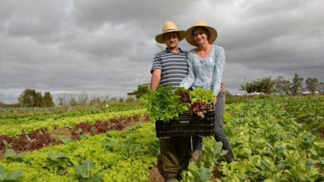 Projeto de ajuda a agricultores familiares durante pandemia é aprovado pelo Senado