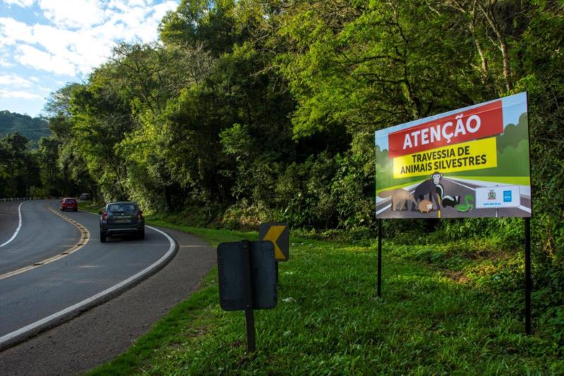 Prefeitura vai instalar novas placas de preservação da fauna