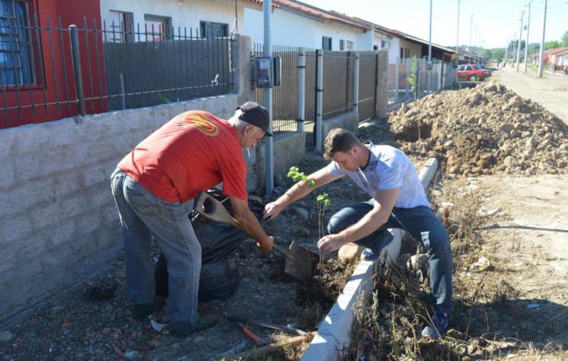 Árvores são plantadas no Bairro Ewaldo Prass em Candelária