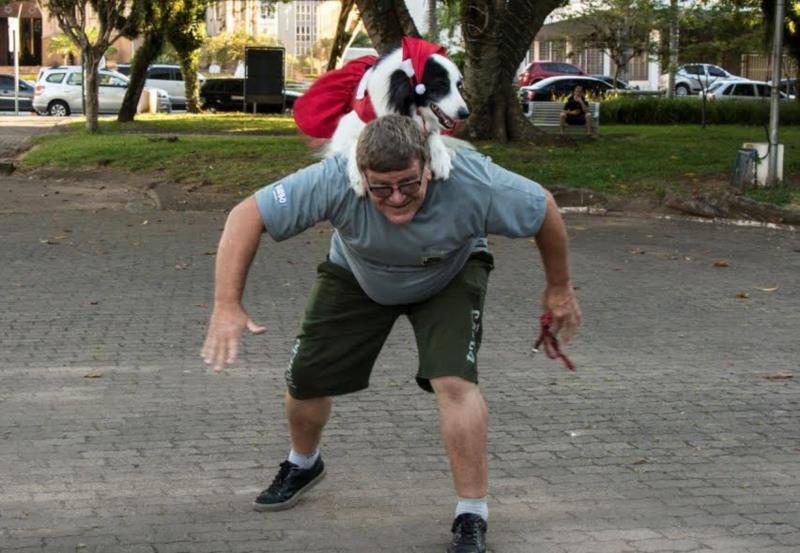 Feira Noturna de Santa Cruz contabiliza 14 adoções de animais de pequeno porte