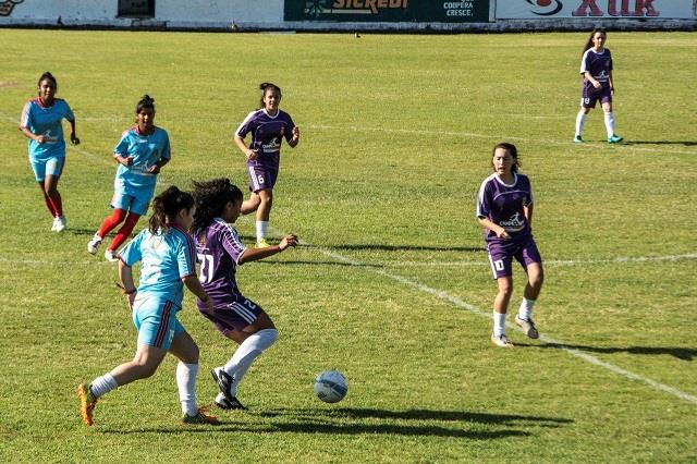 Campeonato Dente de Leite inicia neste sábado envolvendo 800 atletas