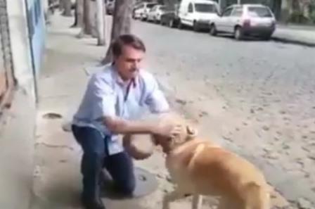 Bolsonaro anuncia criação de Secretaria dos Animais