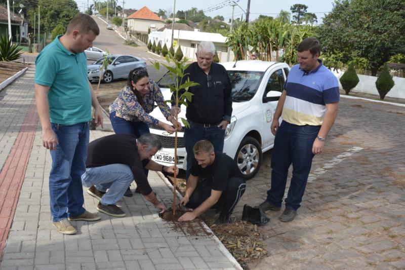 Arborização da Praça José Bonifácio ganha nova espécie