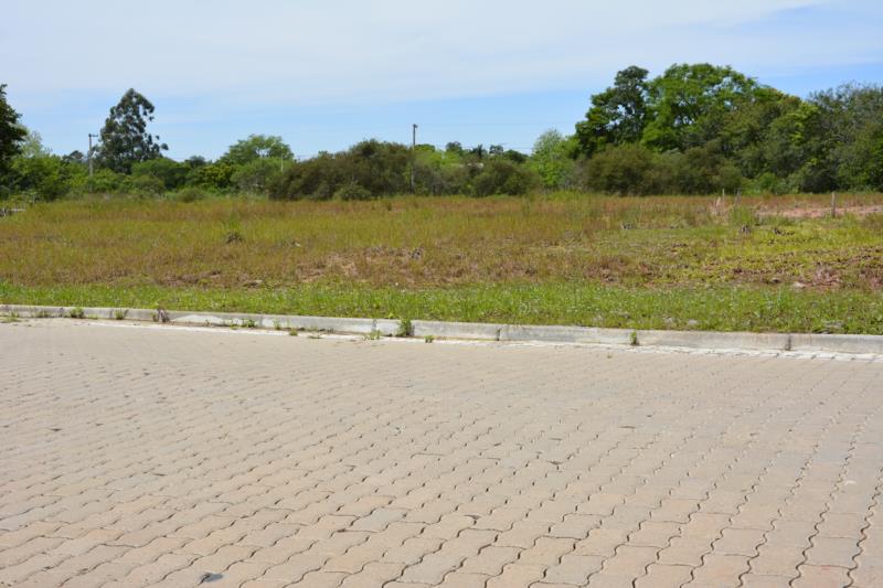 Proprietários têm até o fim do ano para informar construção de calçadas