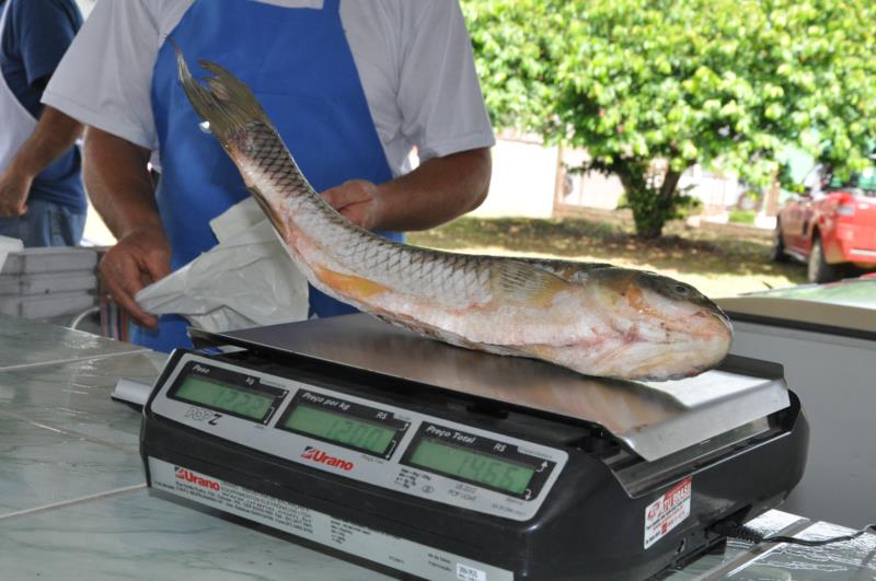 Fim de semana tem feira do peixe