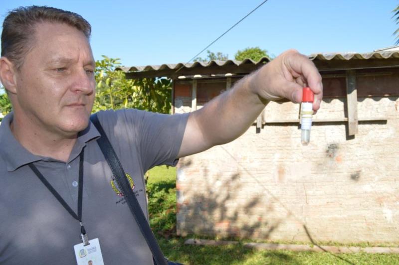 Vistorias vão indicar índice de infestação por mosquitos