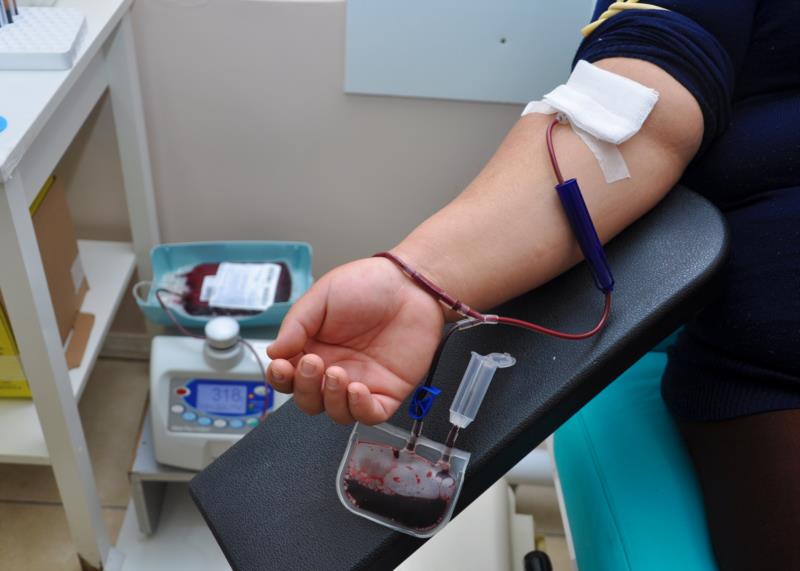 Arauto Saúde: quais são os requisitos para doar sangue?