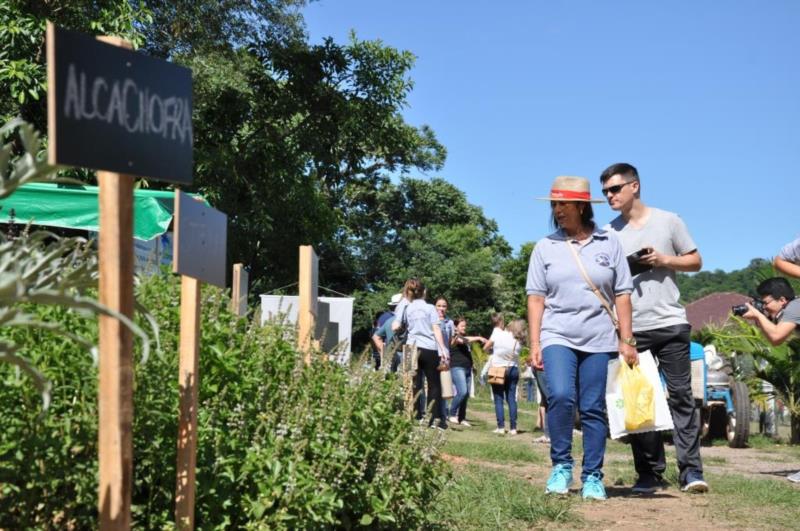 Atividades marcam o Dia do Trabalho em Vera Cruz