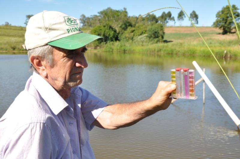 Calor pode ser causa da morte de peixes no interior