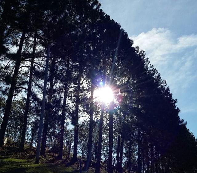 Sul terá elevação nas temperaturas nesta sexta