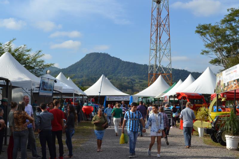 Feirasol e Feira do Livro integram programação da Semana do Município