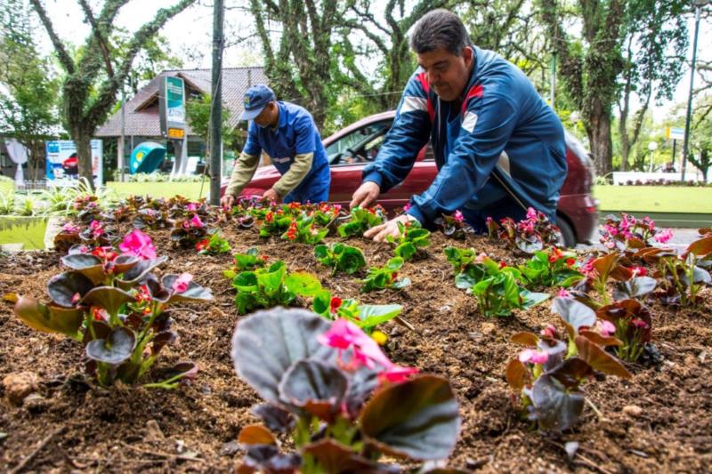 Canteiros da Marechal Floriano recebem flores