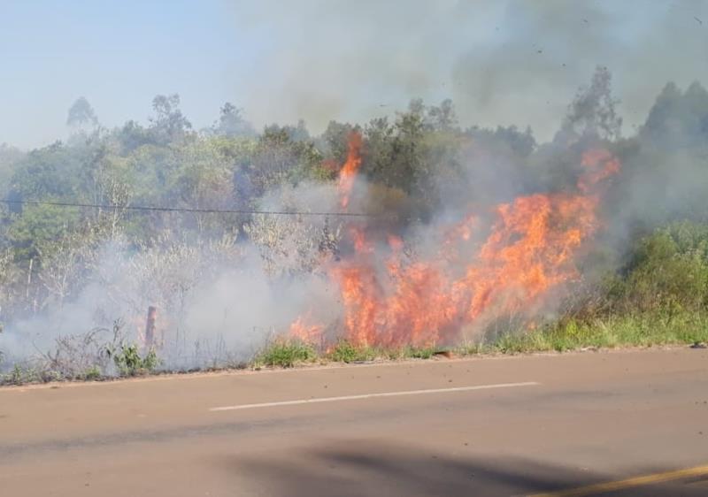 VÍDEO: Incêndio atinge matagal próximo ao Autódromo de Santa Cruz