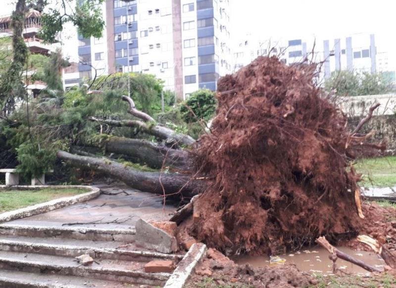 Confira os estragos na região com o temporal