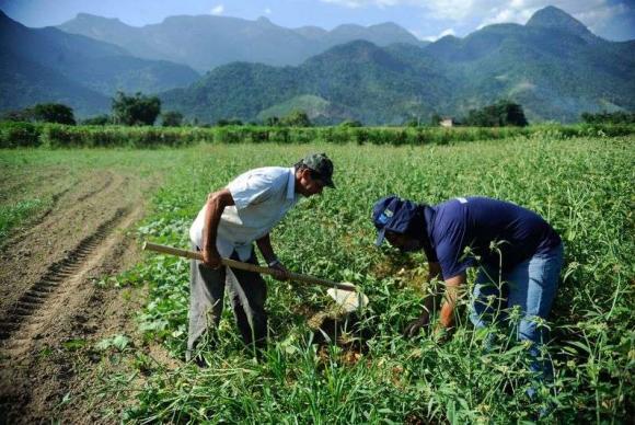 Nova lei celebra em julho a Semana Nacional de Agricultura Familiar