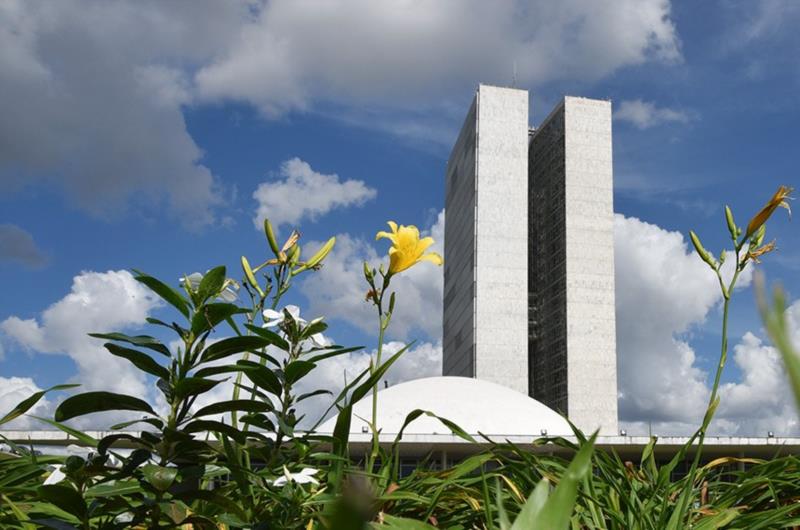 Número de candidatos ao Senado é o maior já registrado em eleições