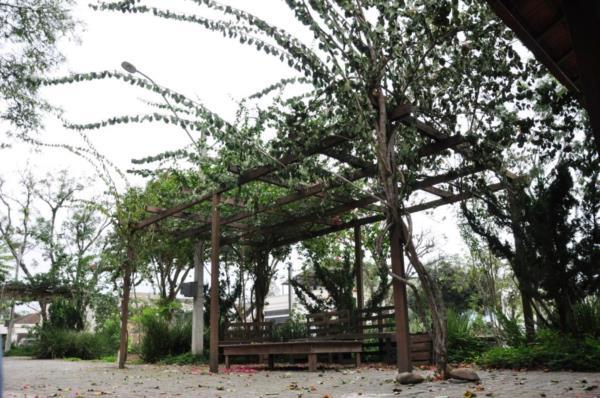 Flores são destruídas na Praça José Bonifácio