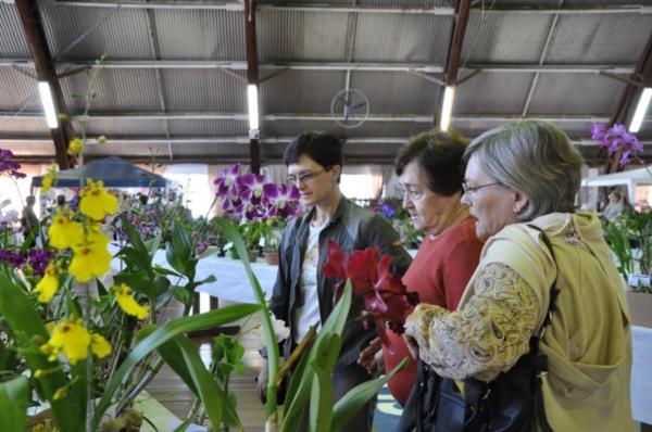 Exposição para atrair quem admira orquídeas começa neste sábado