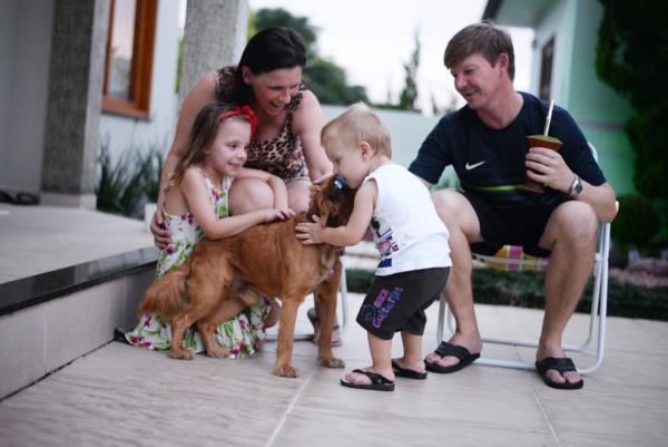 19 cães esperam por um lar em Vera Cruz