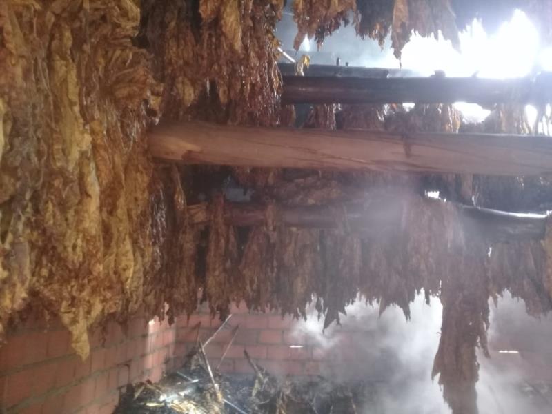 Estufa de tabaco com 400 varas pega fogo em Candelária