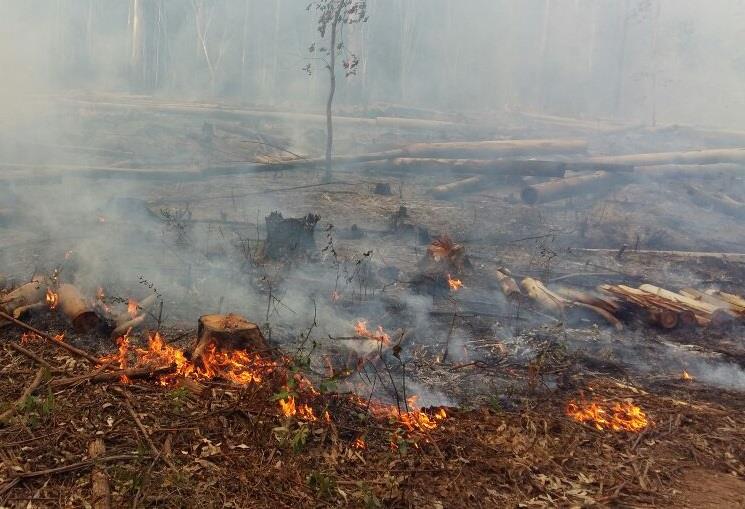 Três hectares de terra pegam fogo em Rincão da Serra, interior de Vera Cruz