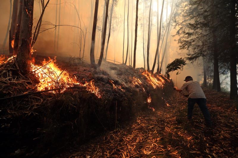 Incêndio florestal ainda queima em Portugal depois de matar 62 pessoas