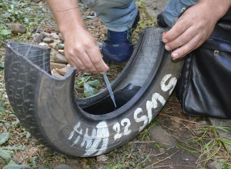 Vigilância Sanitária de Vera Cruz comemora um ano sem larvas do Aedes aegypti