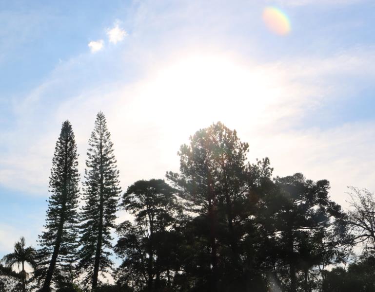 Domingo pode ter máxima de 24º graus na região