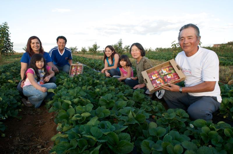 Governo muda regras para empréstimo a agricultores familiares