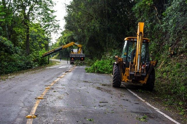 Prefeitura realiza roçada na Avenida Melvin Jones