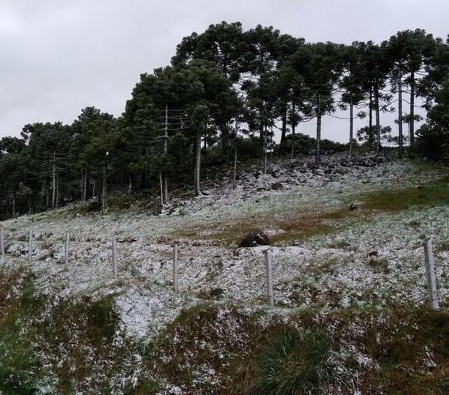 Estado pode registrar neve nos próximos dias