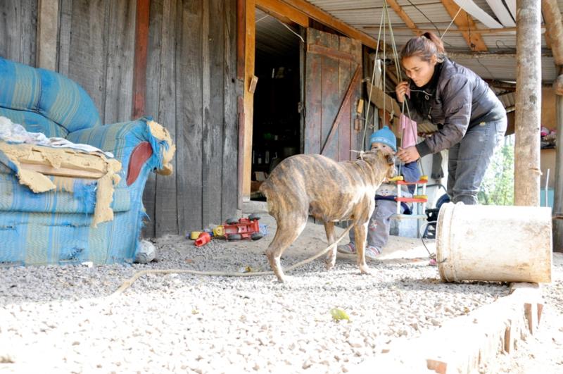 Em extrema pobreza, 455 famílias