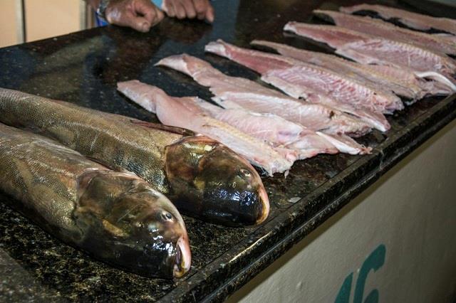 Feira do Peixe ocorre na sexta e sábado