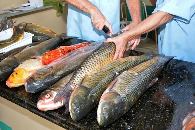 Feira do peixe ocorre nesta segunda-feira de Carnaval