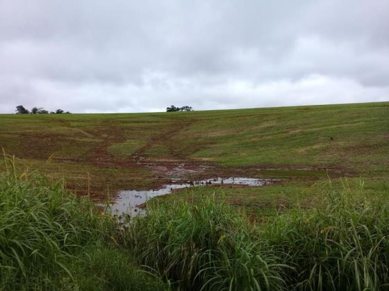 Plantio do trigo chega a 53% da área prevista para RS