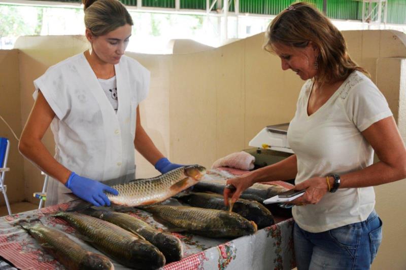 Fim de semana tem feira do peixe